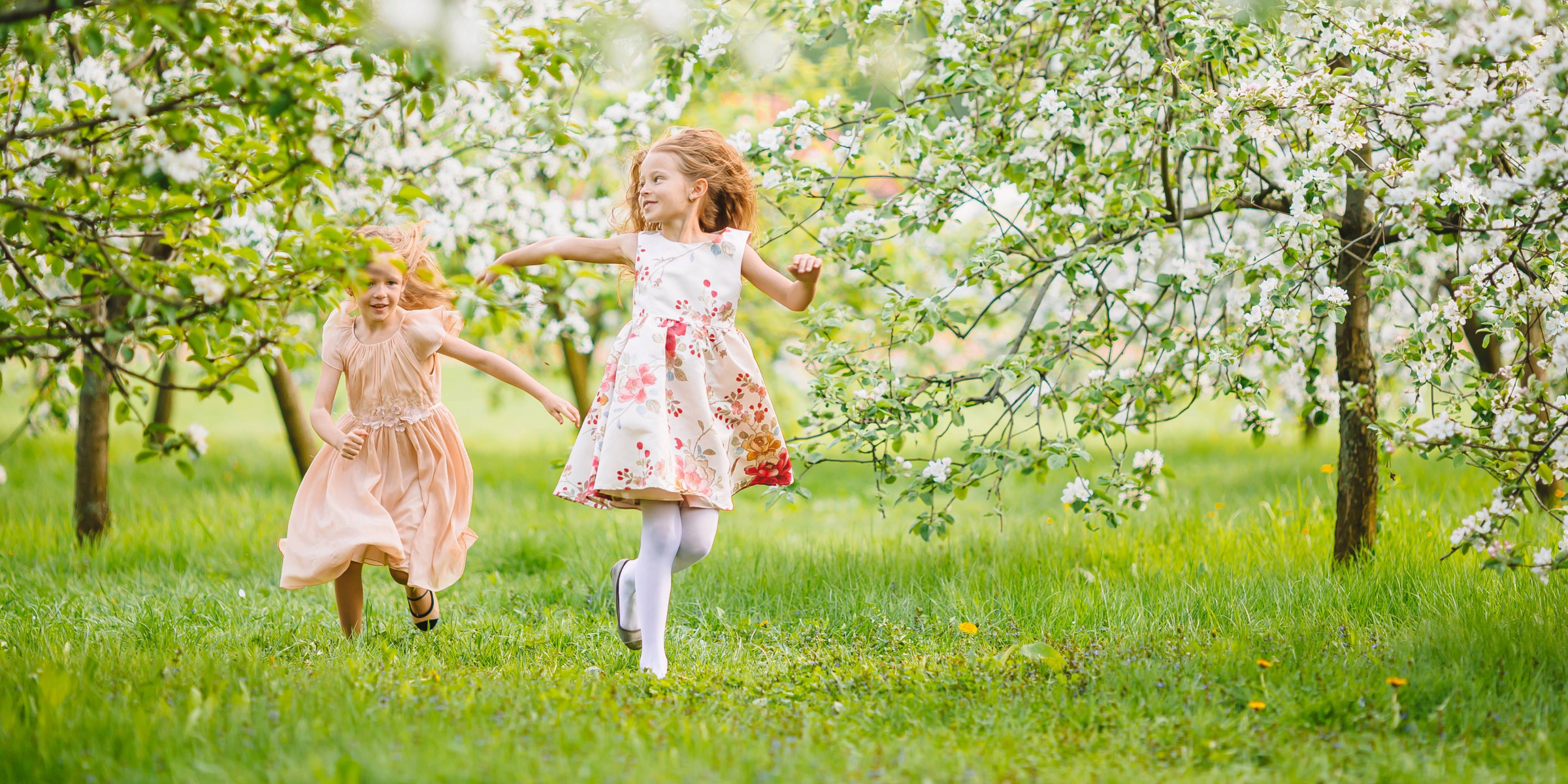 Kiwanis District Austria