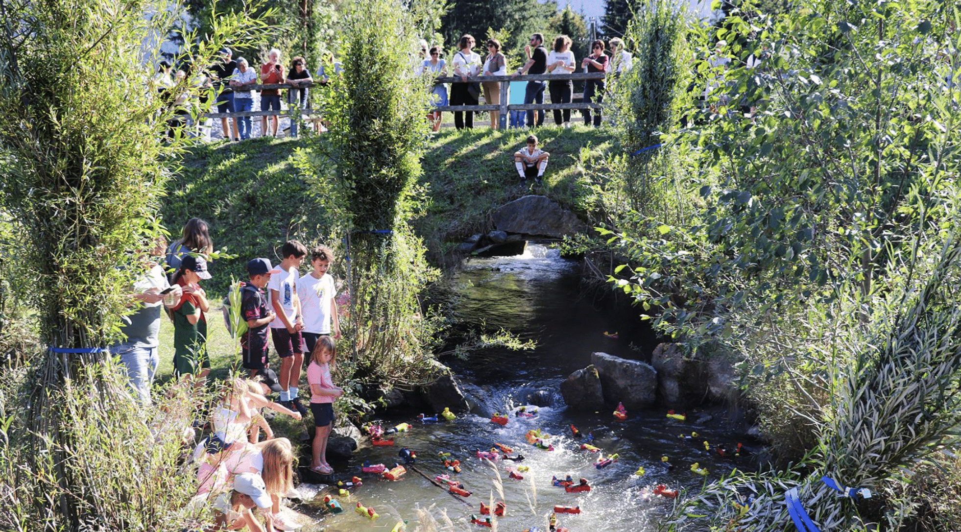 Vorschau-Bild